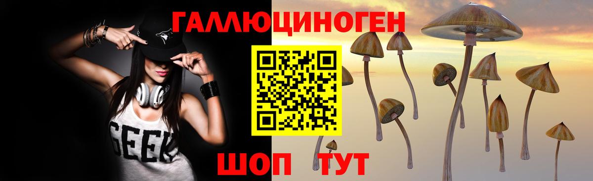 Псилоцибиновые грибы Psilocybine cubensis  Вход с VPN  Балтийск 